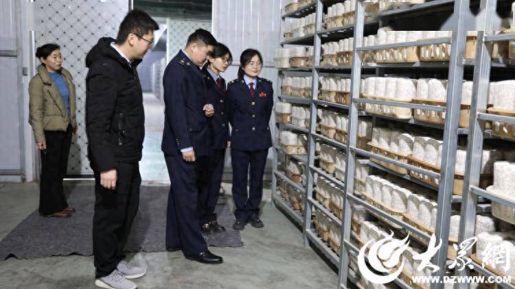 走访山东远洋农业开发有限公司大众网见习记者 崔丽丽 通讯员 周玉海