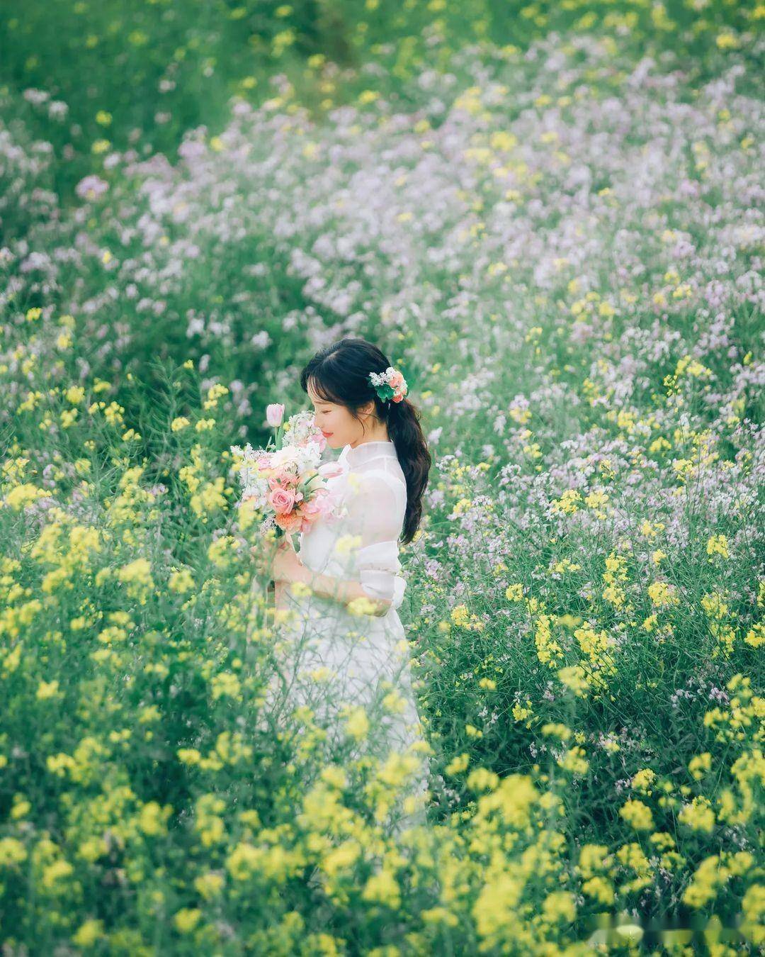 油菜花海拍照女孩图片图片