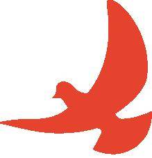 荣成市消防救援大队2024年面向全市招聘政府专职消防员