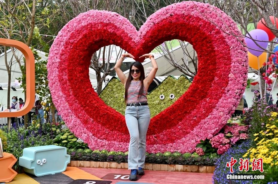 花卉外,还有来自香港,内地,澳门和海外机构悉心培植的盆栽,造型优美的