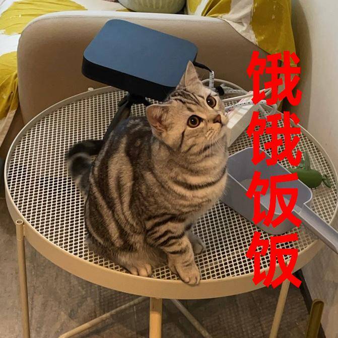 有什么食物能撑死人但几乎没热量