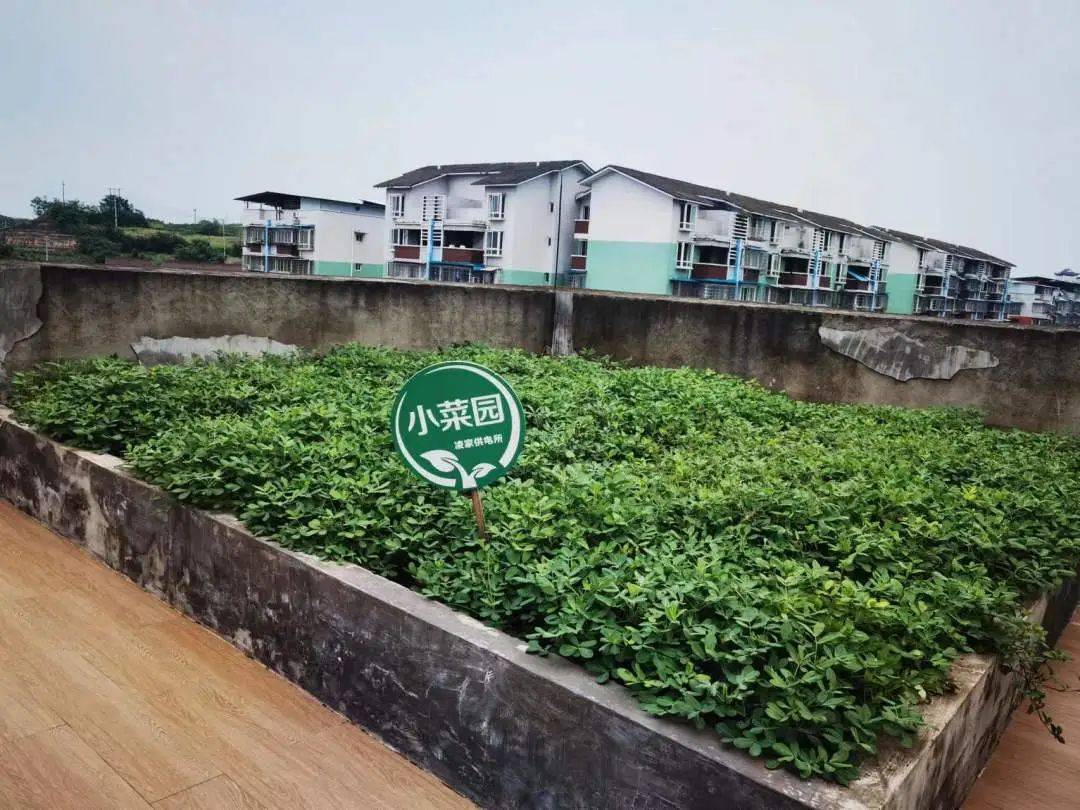 五小建设丨凌家供电所五小暖人心企业也是家