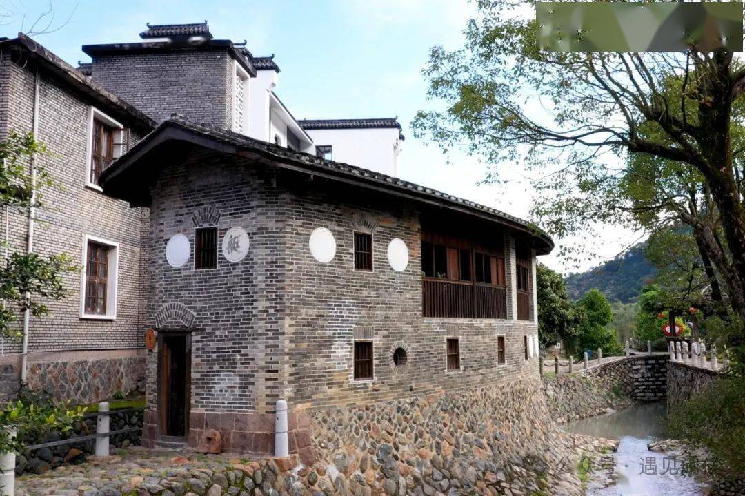 半岭村_张翔_陈枫