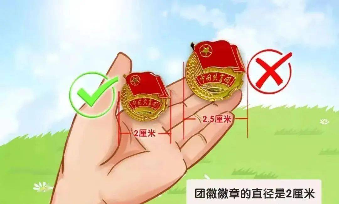 15"国际消费者权益日~向不规范共青团少先队标识说不!_标志_团徽_工作
