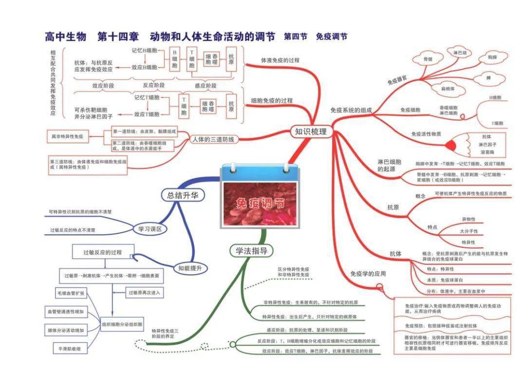 【高中生物】全套思维导图(高清版)