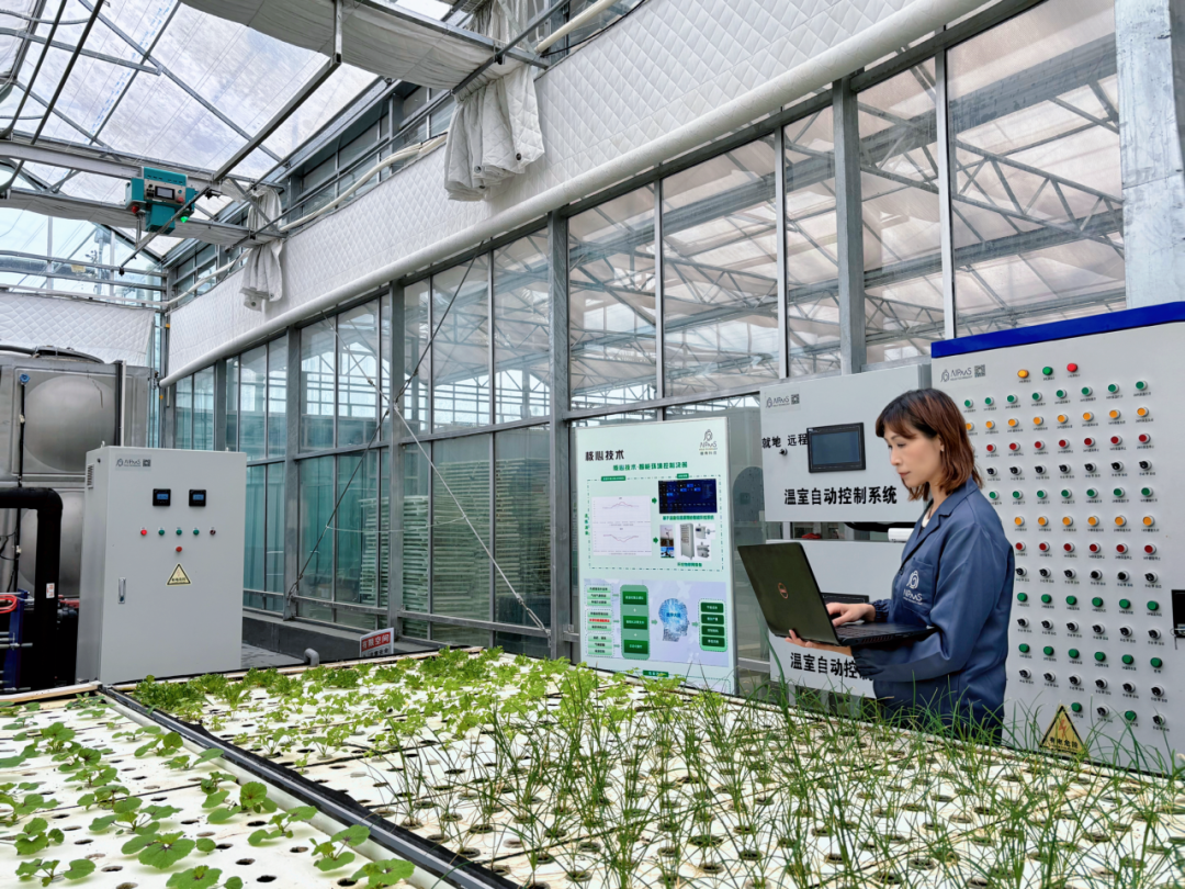 数字化_种植_农业