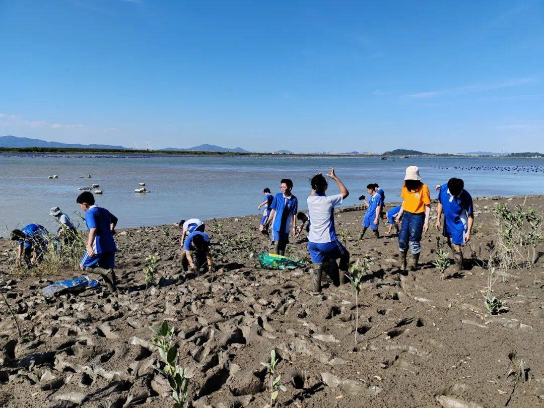 公益直播丨鲸喜奇遇尽兴赶海探秘红树林这几天我们和大海有个约