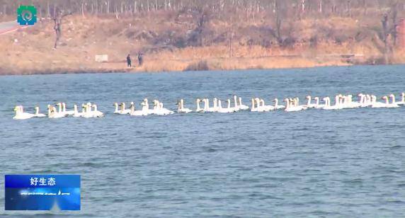 省重大项目名单邢台10个项目列入邢台城事儿