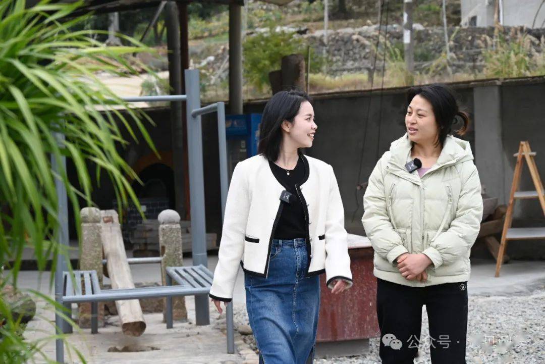 半岭村_张翔_陈枫