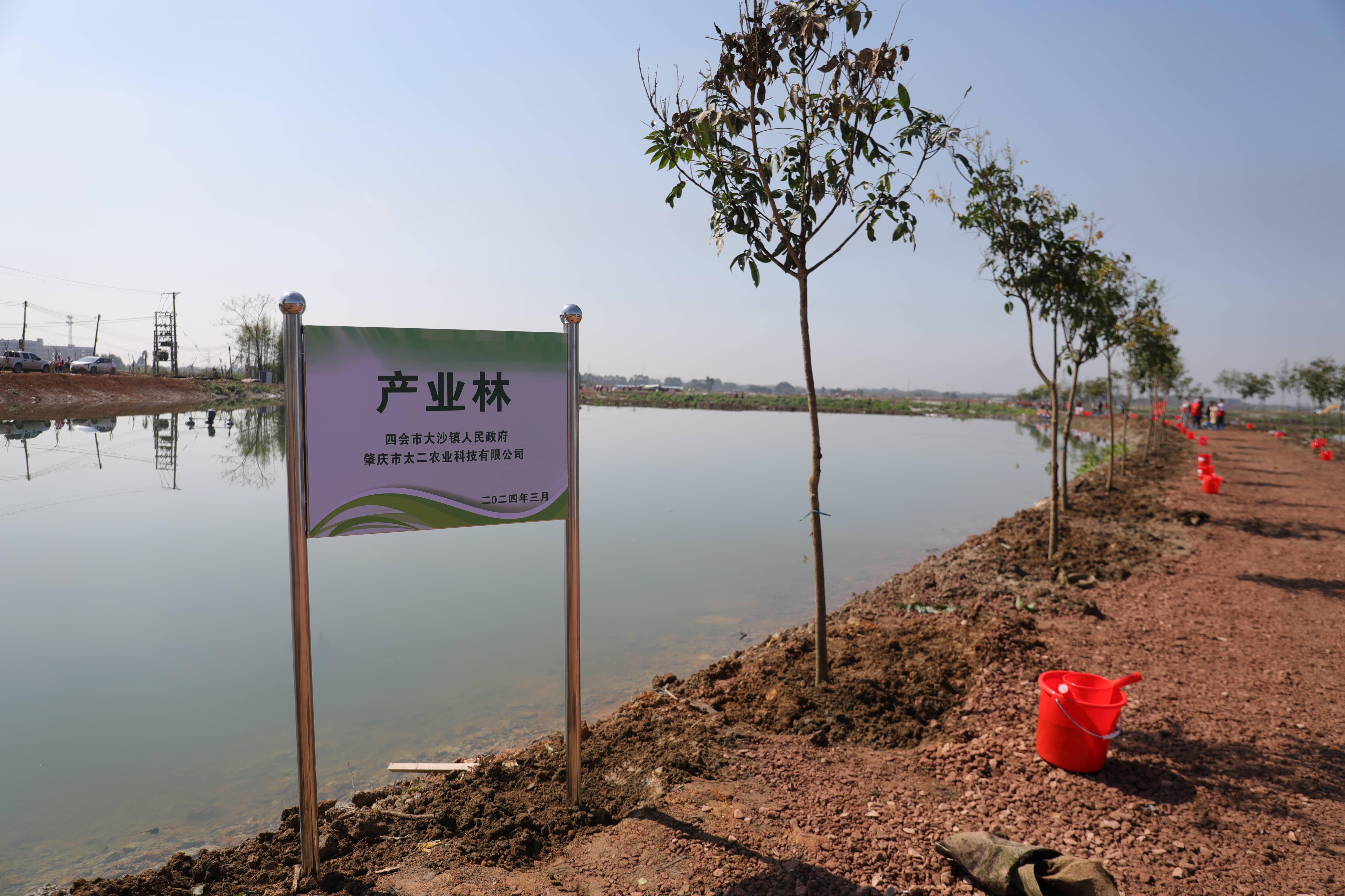 南方 记者 施亮 摄结合城市更新工作,四会引领城镇村一体化绿化建设