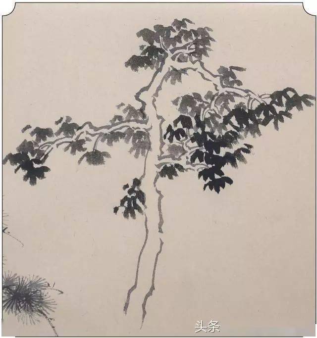 山水画技法教程各种树的基本画法