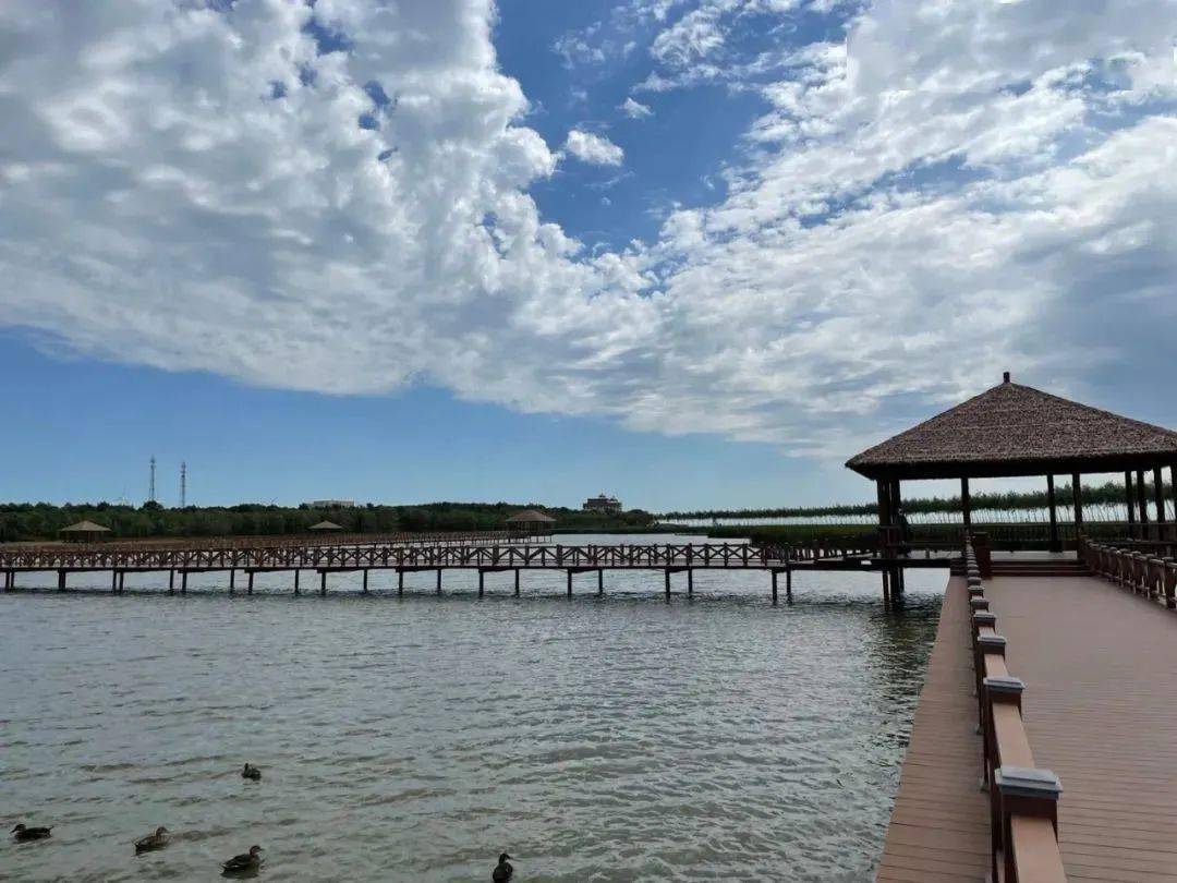 查干湖大批候鸟回迁!周末松原自驾走起_渔猎_文化_民族英雄