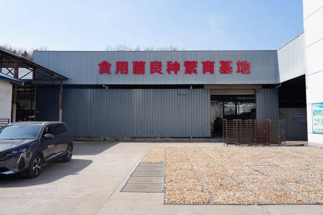 在随县,十堰,钟祥等香菇主产区示范推广香菇优良品种及香菇玉米秆颗粒