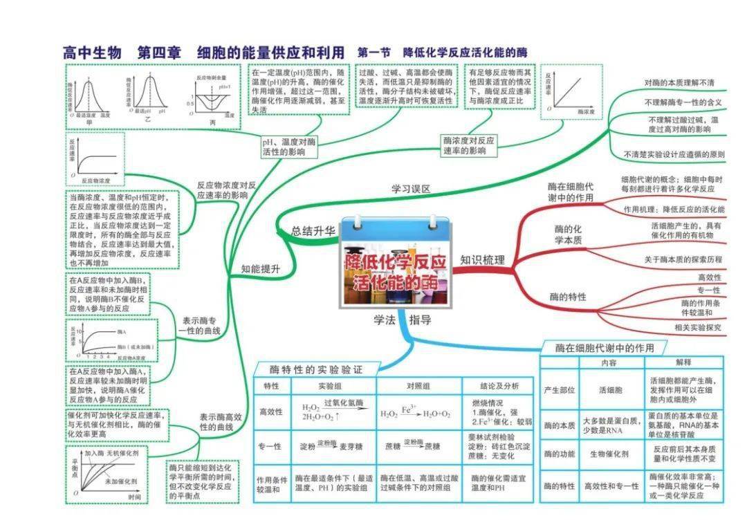 高中生物全套思维导图高清版