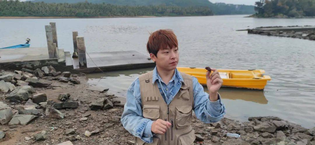 公益直播丨鲸喜奇遇尽兴赶海探秘红树林这几天我们和大海有个约