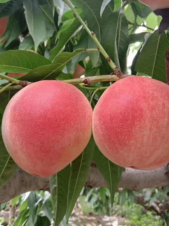 攒劲得很不仅麻辣烫新顶流天水还有好风光