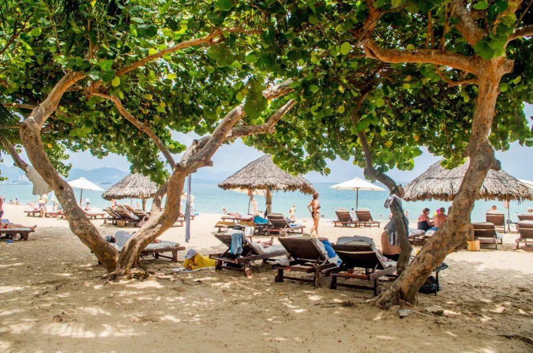 春日去越南度假!私享行程,胡志明芽庄6日~_主教堂_航班_西贡