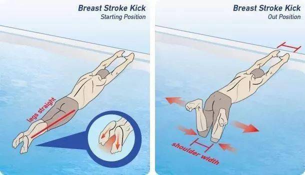 蛙泳游快必须掌握的八个技术 少一个都不行