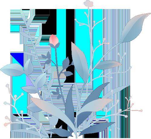 是说总有人绽放光彩总有人熠熠生辉追梦的征途中感谢徐玉凤学姐的分享