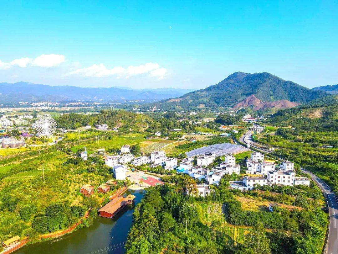 绿意盎然的田野风光,挂满枝头的三华李……走进八步区贺街镇西南村