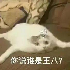 谐音梗沙雕搞笑表情包↑↑↑戳上方 万能聊天表情包小程序查看下载