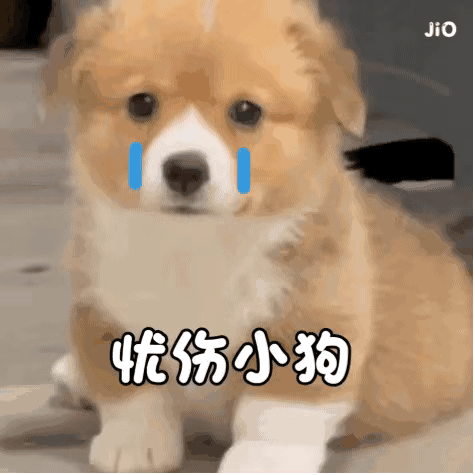 不能错过的表情包你的裤衩子在我这呢