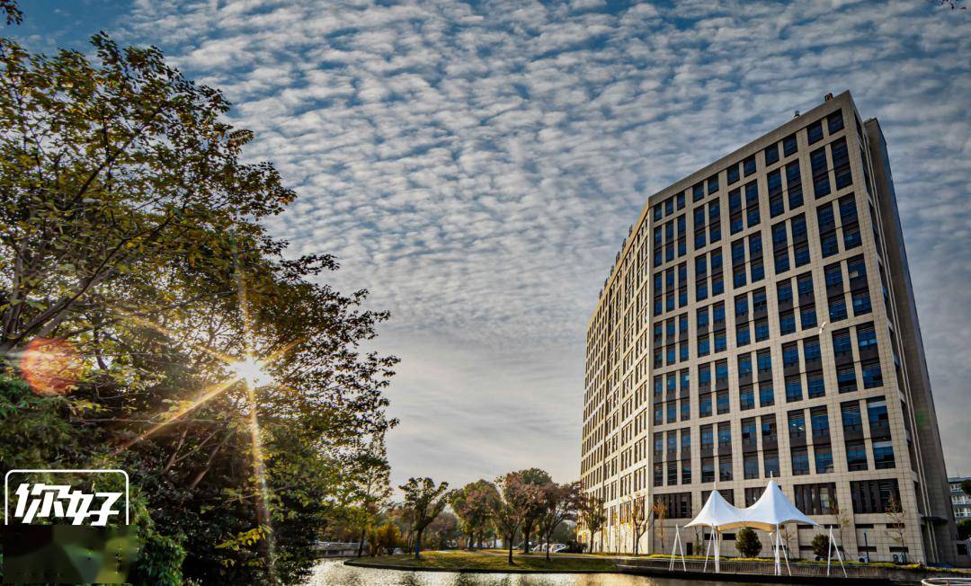 张江人这份cityride路线请查收