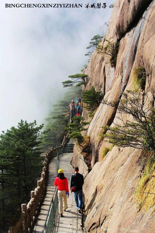 春游江南(8)|醉黄山_云雾_云梯_婺源