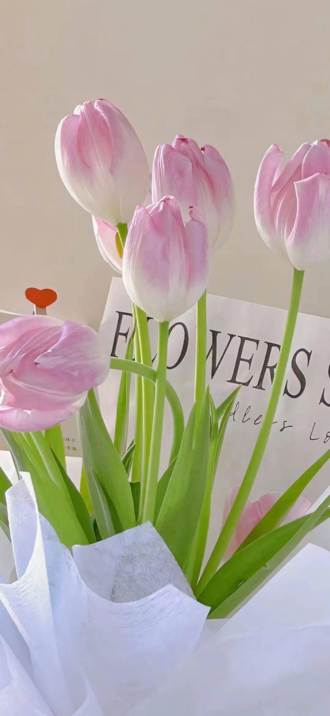 壁纸没电也要换上的手机壁纸