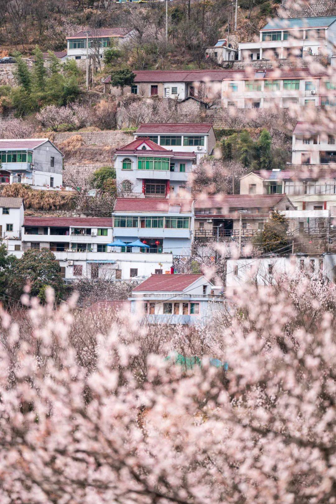 四明山镇悬岩村-地质公园-悬岩村,全程5km.