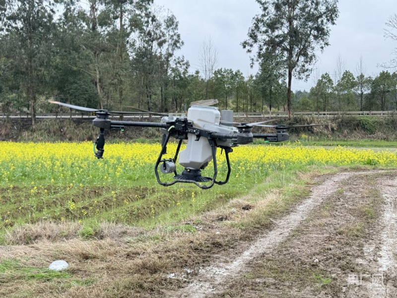 闹春耕铁牛耕地无人机施肥