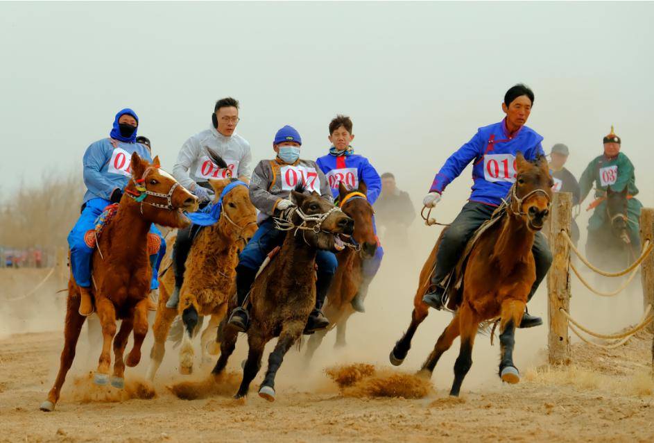 比赛_蒙古_联赛