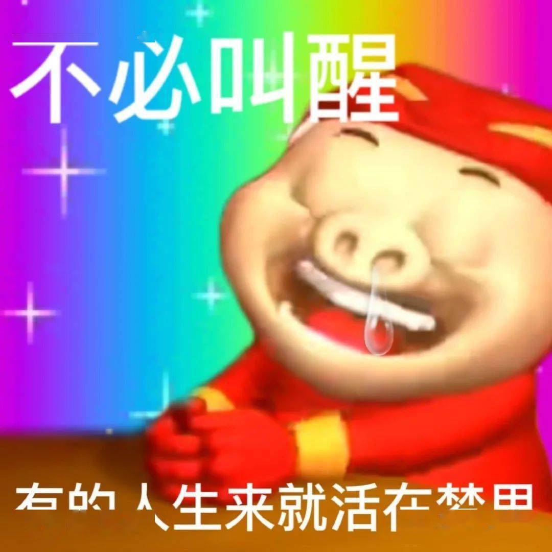 我擦,你真的nb