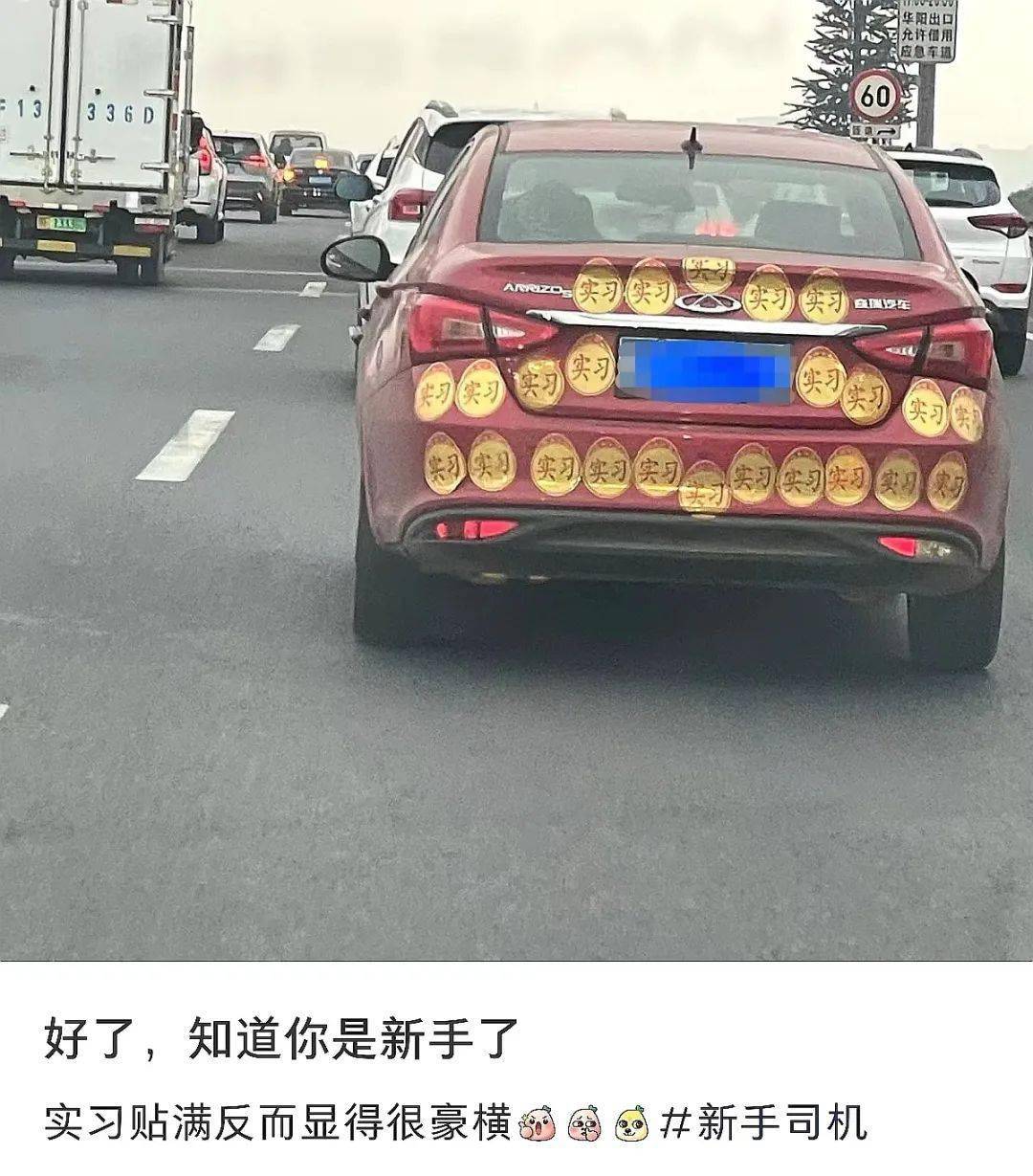 新手上路,请多关照_搜狐汽车_搜狐网