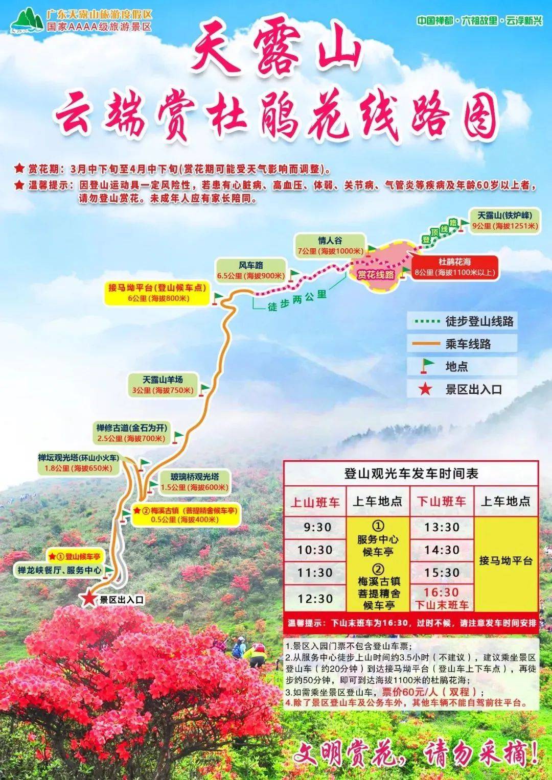 新兴天露山菩提精舍赏高山杜鹃花海06299住双床客房享双早玩转半山