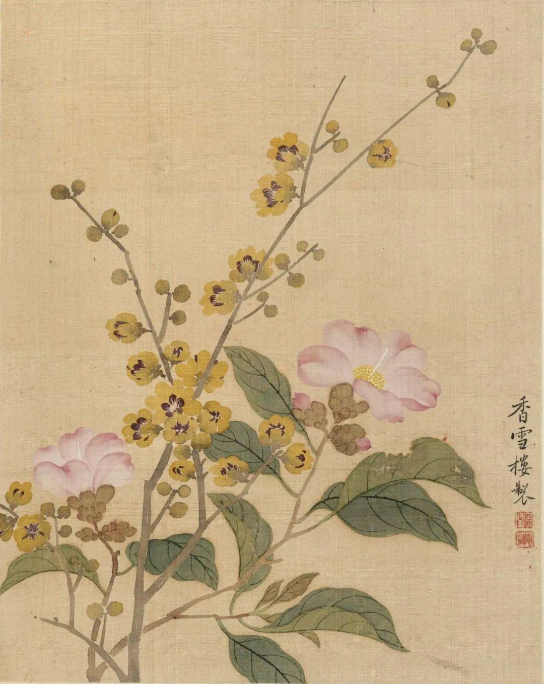 十帧没骨花卉,妍雅可喜_国画_南田_恽冰