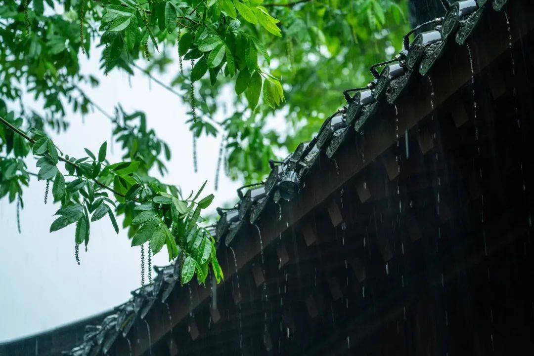 最美春雨图片图片