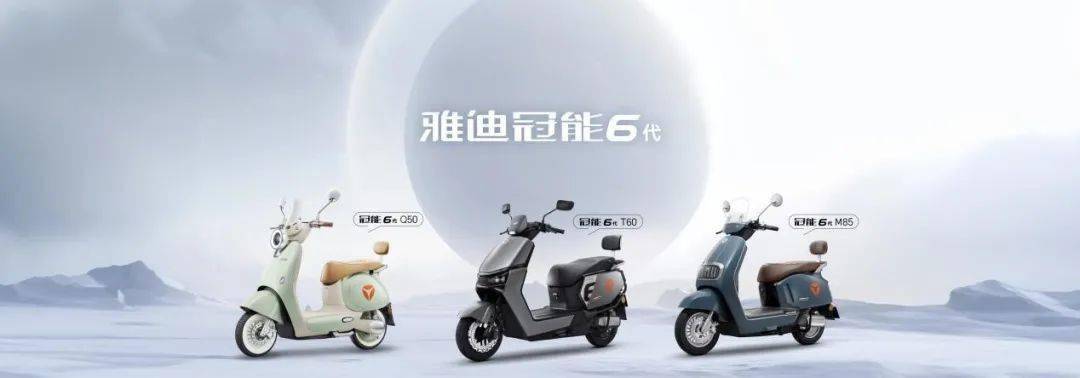 以雅迪冠能6代 q50,雅迪冠能6代 t60,雅迪冠能6代 m85为代表的系列