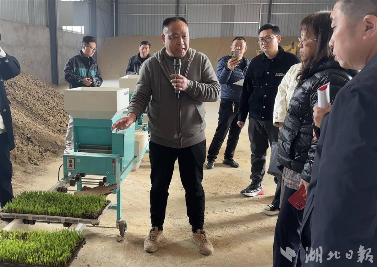 带农户慧耕助整村团肥供销社帮小农户奔现