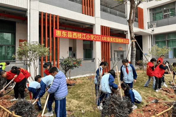 惠东县吉隆中心小学图片