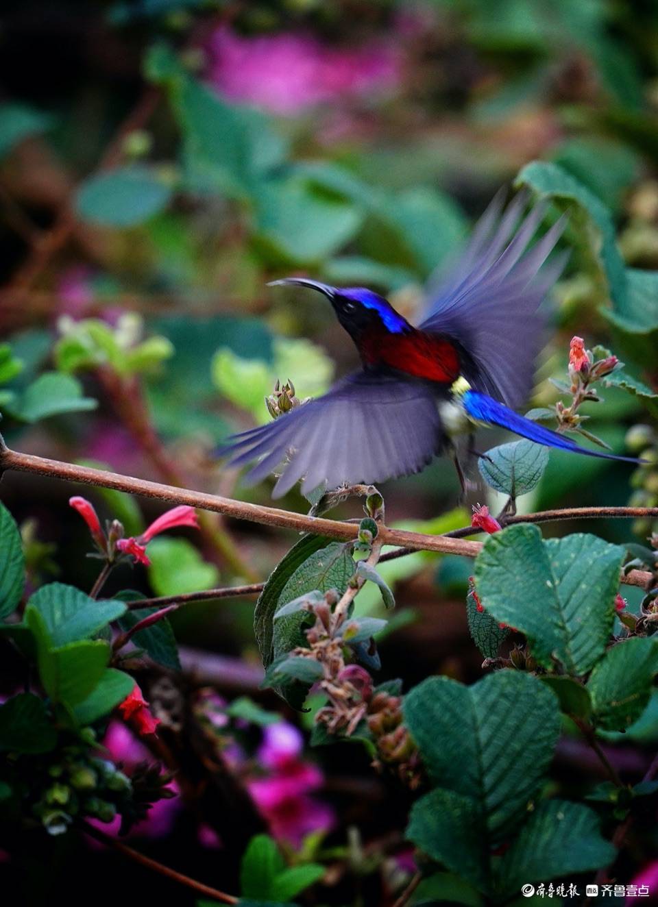 960_1324竖版 竖屏