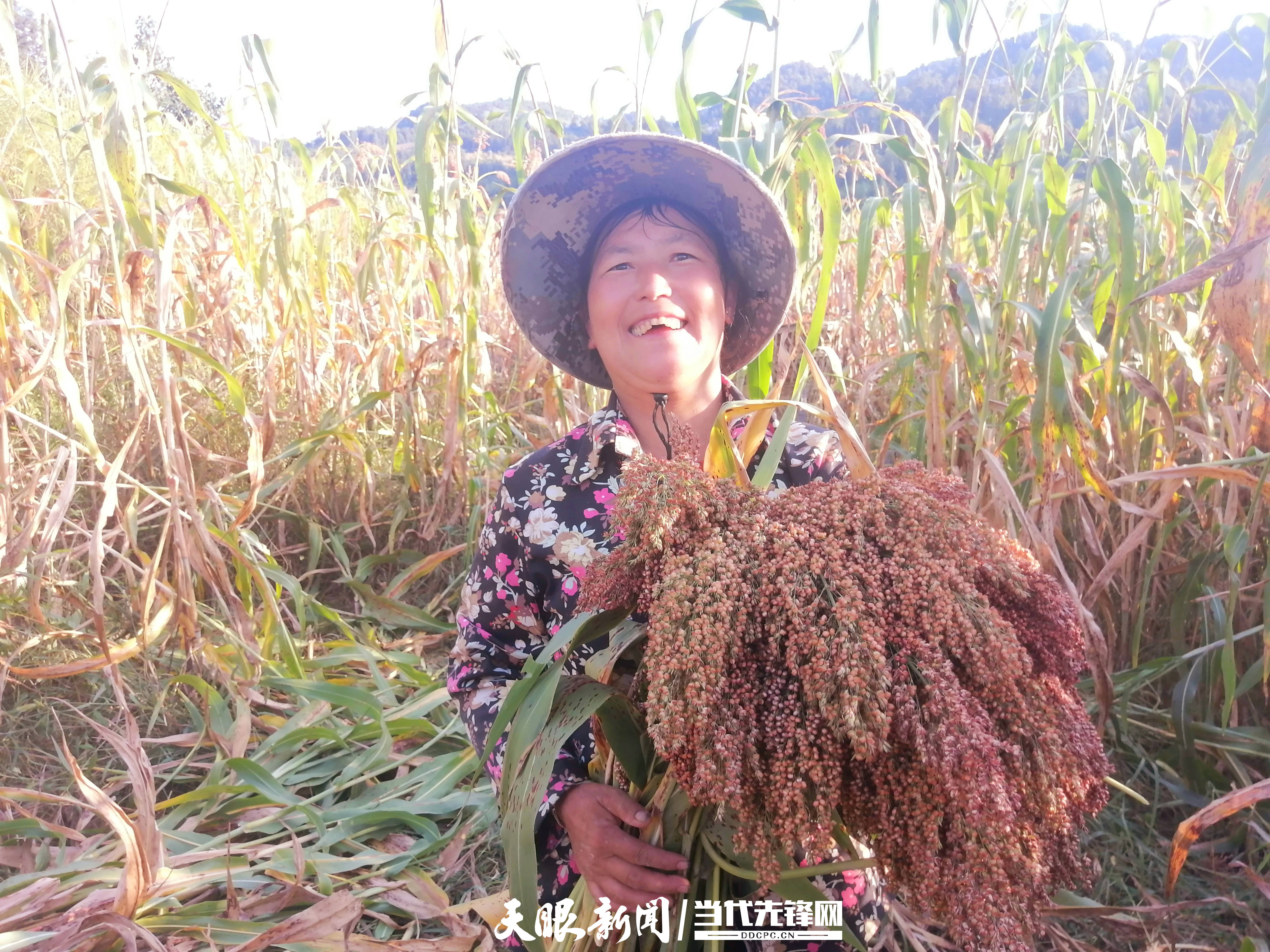 沿河后坪乡:和美乡村焕发新活力