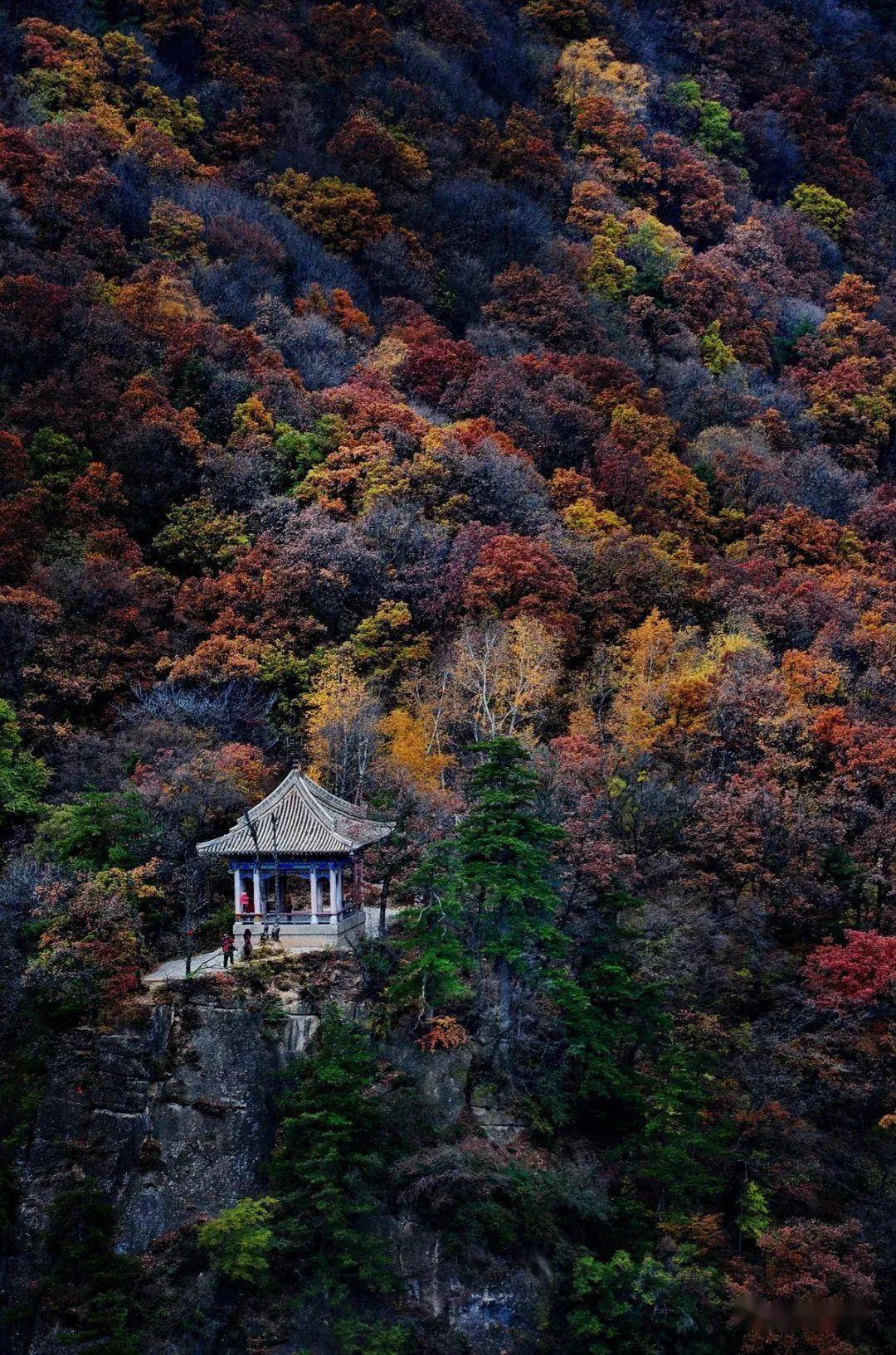 甘肃风景 手机壁纸图片