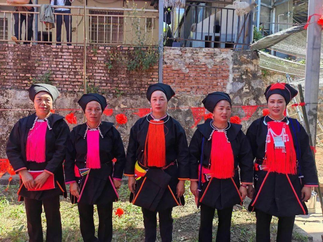 无忧图集一起奋斗在无忧勐腊的春天