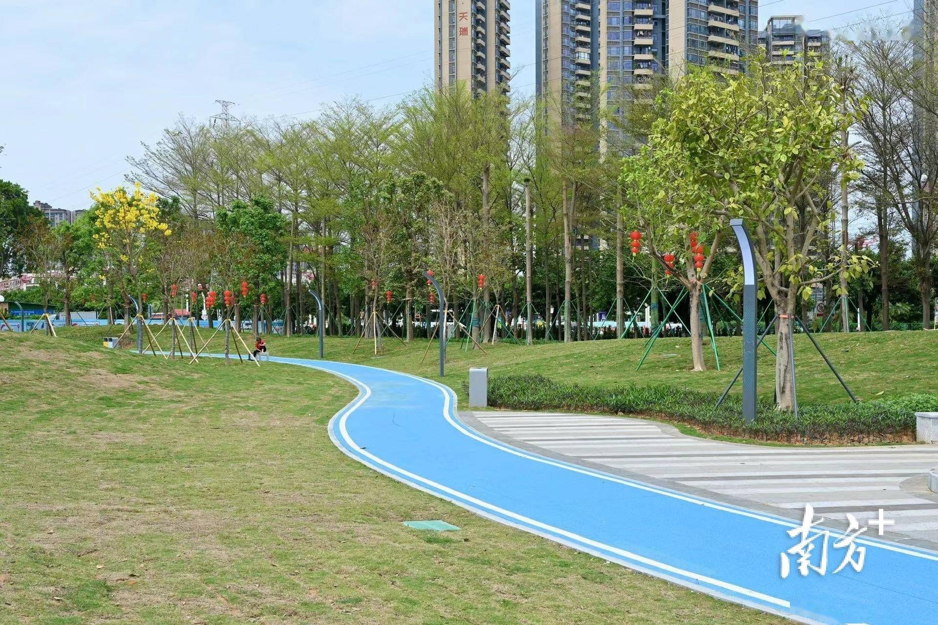 图集去新开的大朗中心公园玩给你8个建议