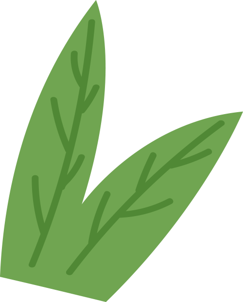 南宁竟然藏着现实版"绿野仙踪",太适合春日踏青了→_绿色_童话_光影