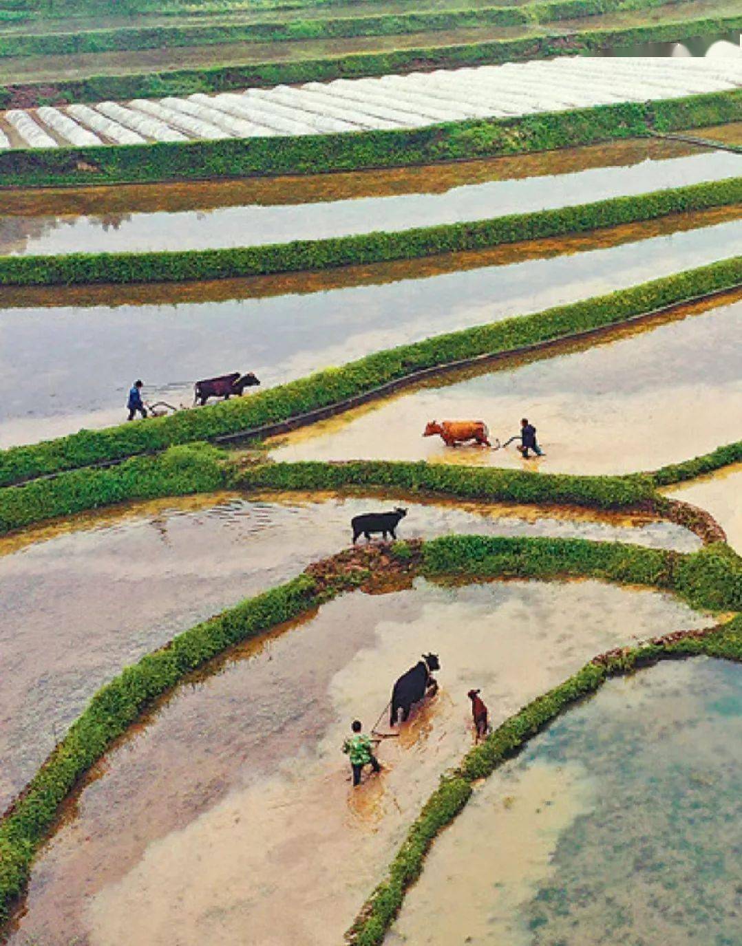 当春分遇到emojiwhatwouldhappen