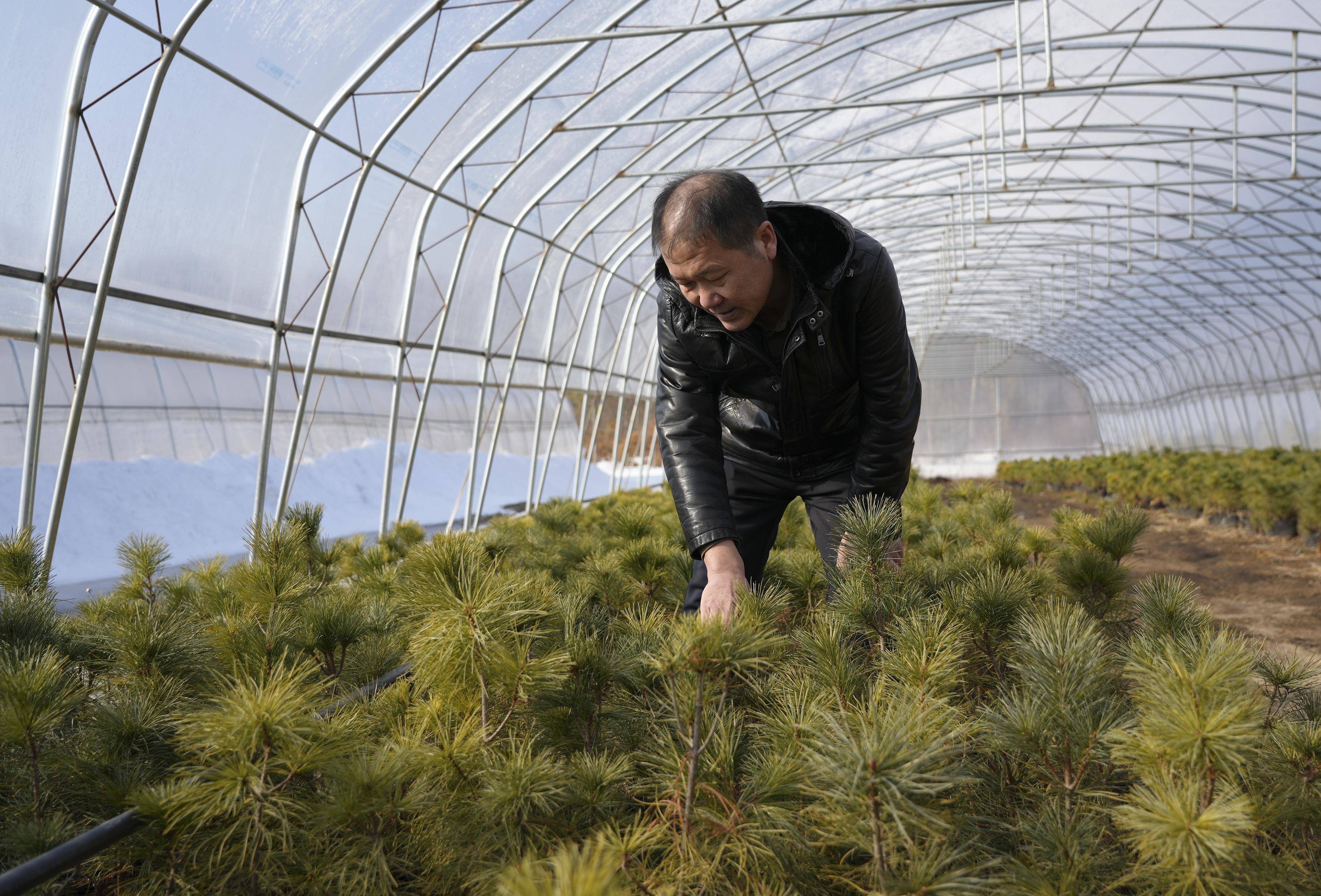 新华全媒丨停伐十年间大小兴安岭新林人影像志