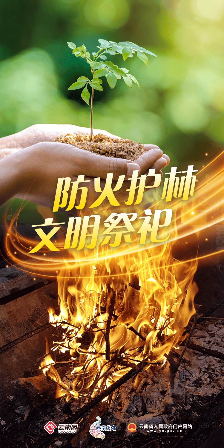 一念之差山林尽毁67森林防火人人有责