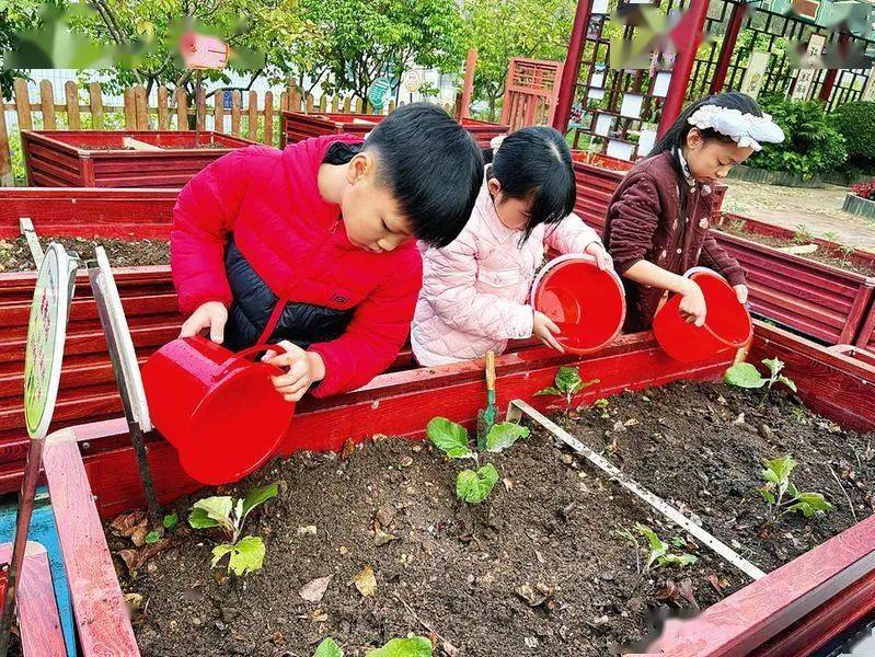 关爱未成年人 | 多元活动显特色,多元体验促成长_南宁市_劳动_中小学